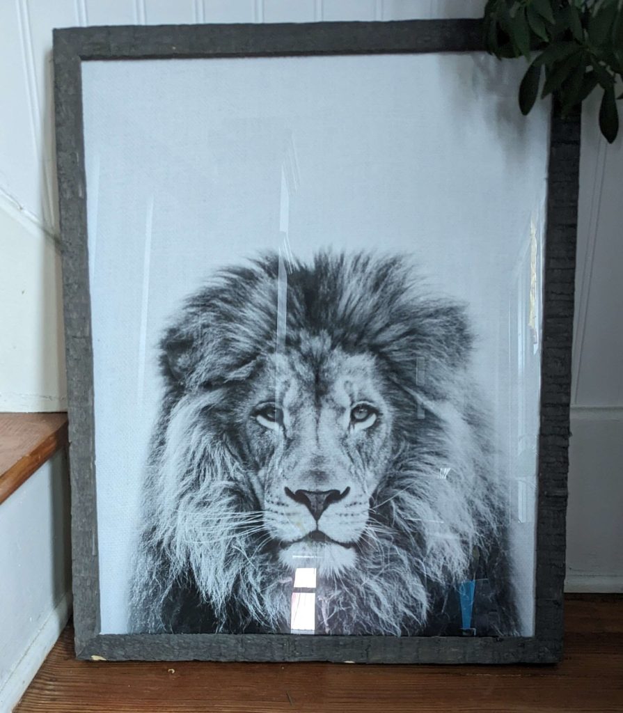framed lion wall art